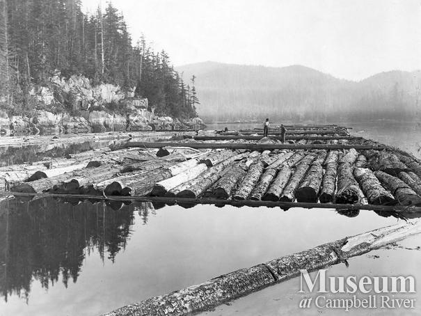 Ten-section cedar log raft