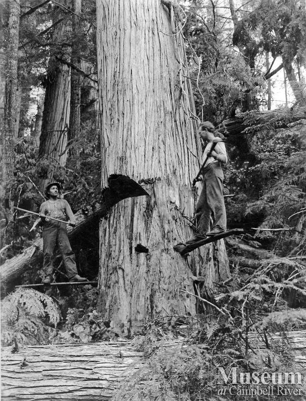 Clark and Lyford hand fallers near Booker Lagoon
