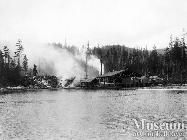Shingle Mill near Green Point Rapids