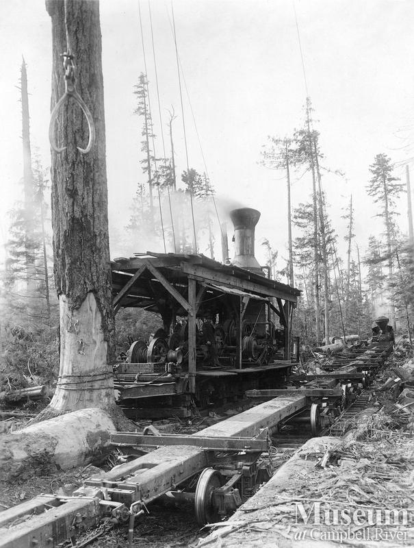 Steam donkey near Menzie's Bay