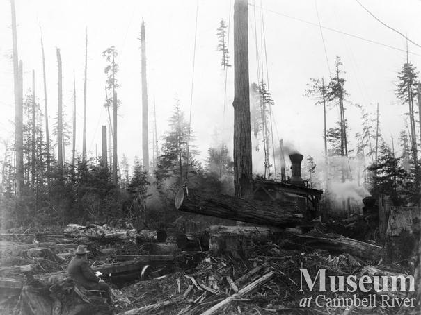 Steam donkey near Menzie's Bay