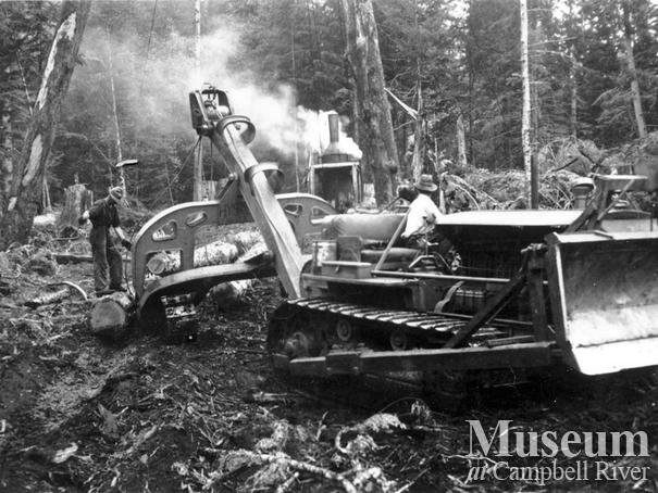 Cat logging near Dent Island