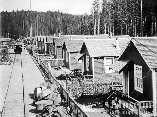 Merrill Ring Wilson Ltd. camp at Big Tree Creek