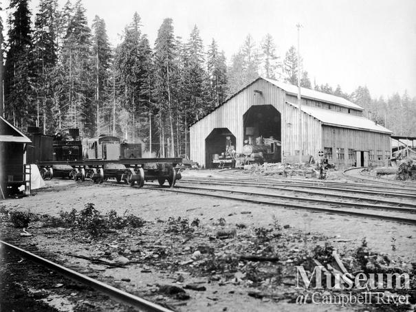 Merrill Ring Wilson Ltd. camp at Big Tree Creek