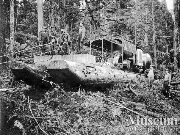 Merrill Ring Wilson Ltd. at Big Tree Creek