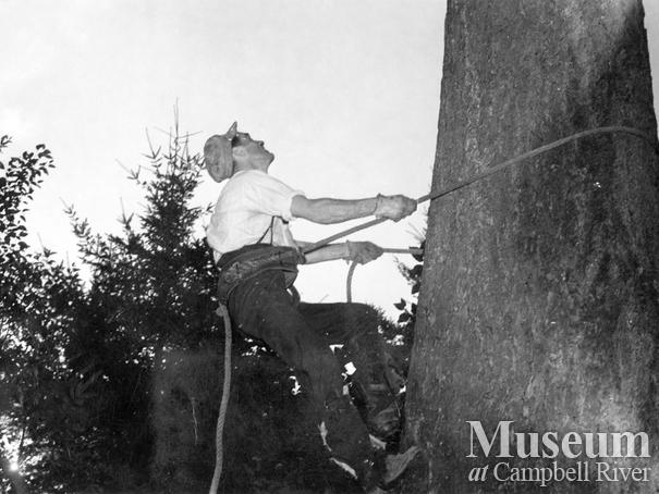 Tree climbing at logger sports competition
