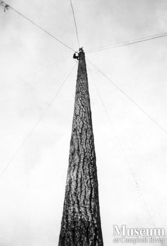 Tree climbing at logger sports competition