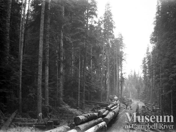 Wood and English operations at Nimpkish
