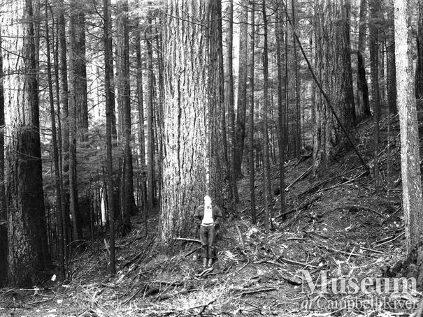 Wood and English operations at Nimpkish