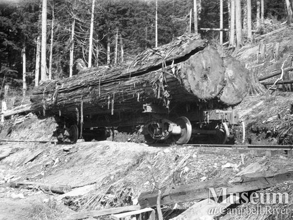 Wood and English operations at Nimpkish