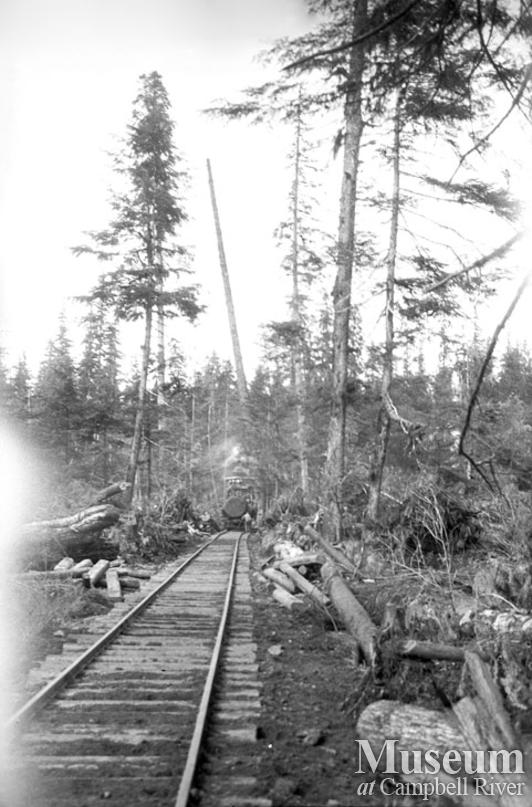 Wood and English Camp 8