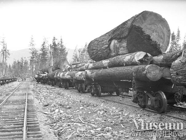 Wood and English Camp 9