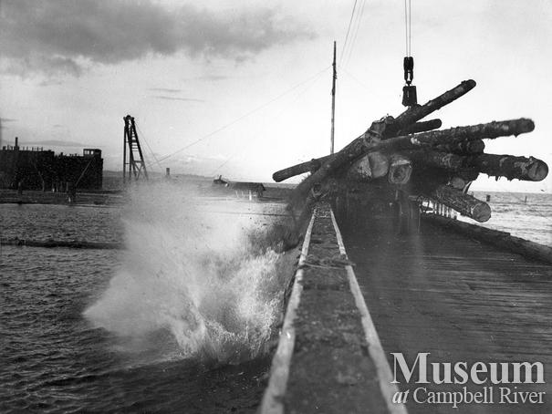 Iron River Logging in Oyster Bay
