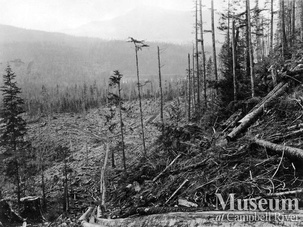 Hastings Co. Camp C at Hemming Bay