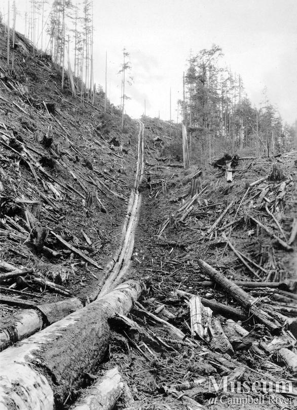 Hastings Co. Camp C at Hemming Bay