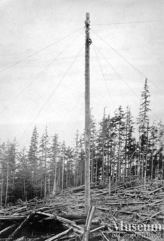 Topping a spar tree at Hemming Lake