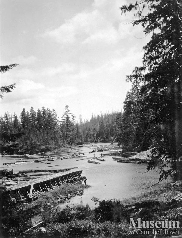 Camp C at Hemming Bay