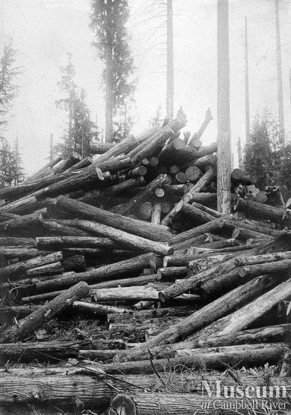 Hasting Co. operations Rock Bay