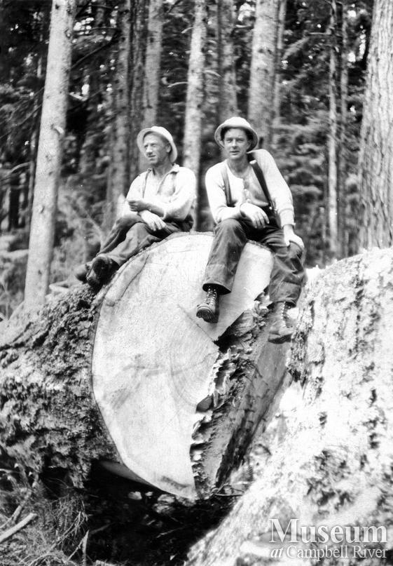 Fallers atop a log near Woss Camp