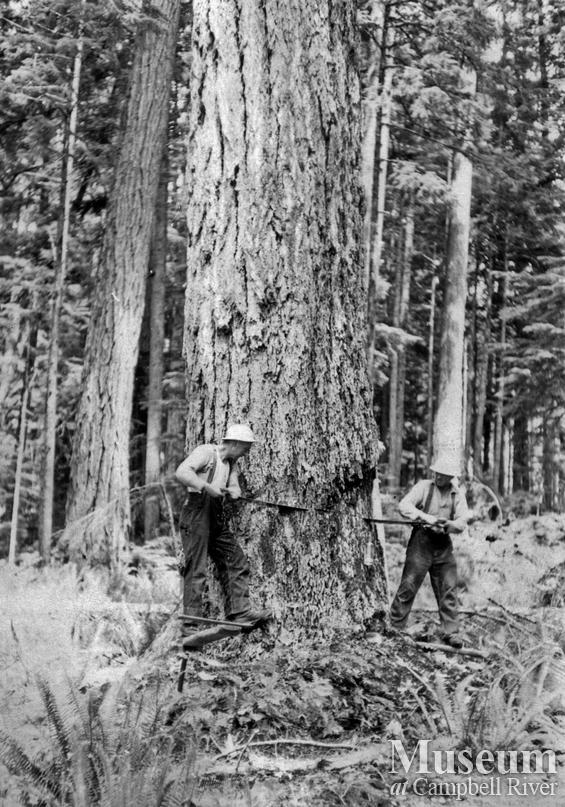 Using a cross cut saw