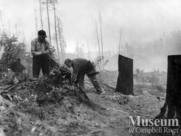 Cleaning up after the Sayward Fire