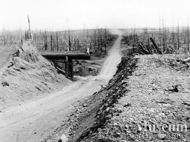 Aftermath of the Sayward Fire