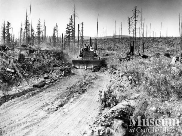 After the Sayward Fire