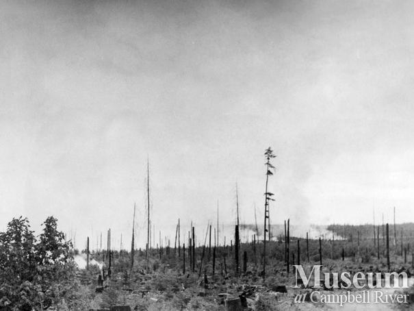 Fire advancing towards Forbidden Plateau