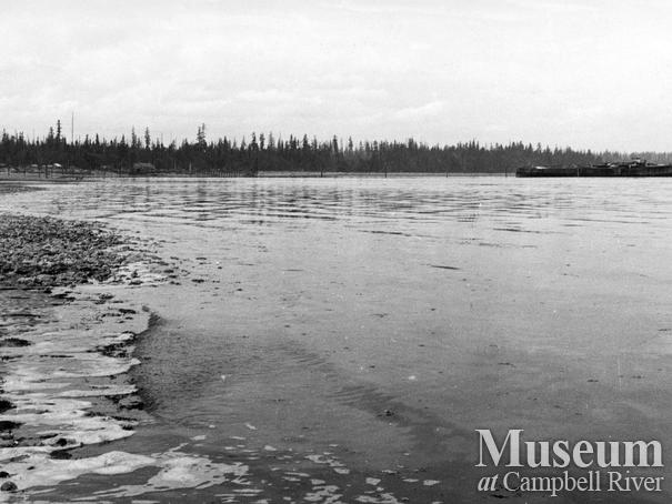 View of the Oyster Bay logging camp