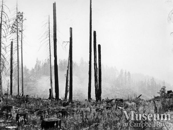The Sayward Forest Fire