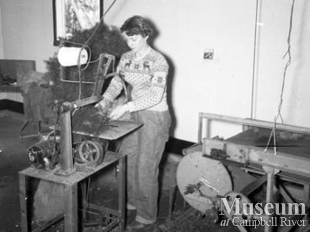 Bundling seedlings Campbell River Nursery