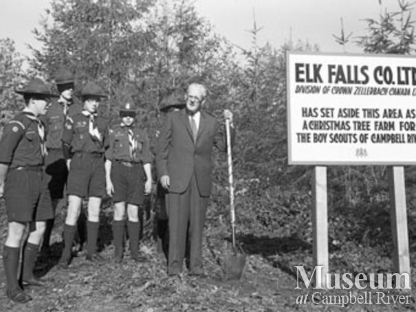 Elk Falls Co. boy scout tree farm