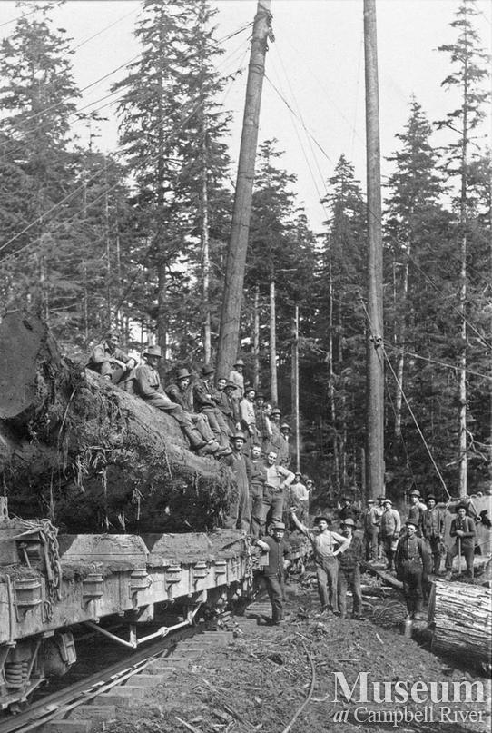 Comox Logging Co. crew on loaded railroad car