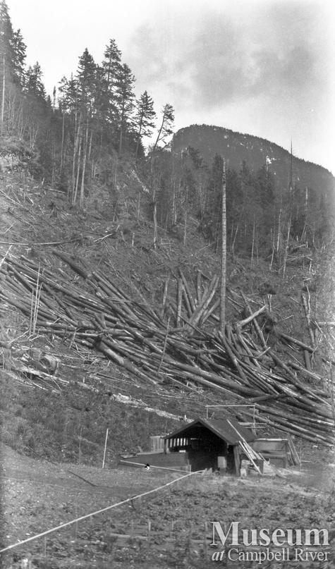 Logging in Bute Inlet