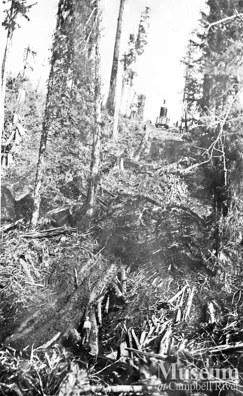 Moving a steam donkey