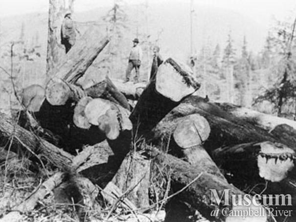 Bert Hammond's show in Granite Bay