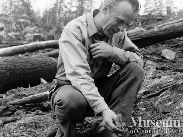 New seedlings at Gold River