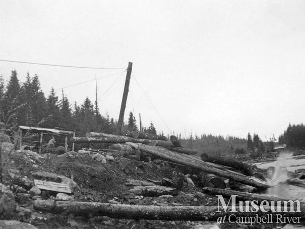 Log dump Coal Creek Logging Ltd., Granite Bay