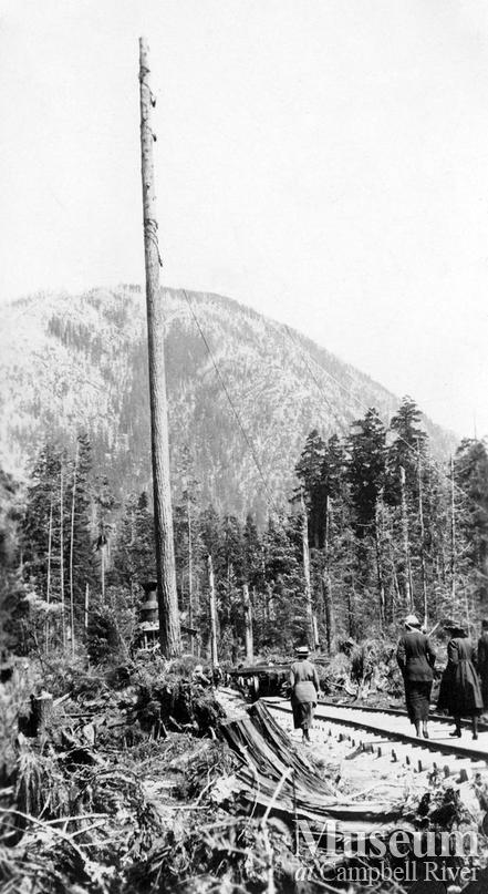Spar tree and steam donkey, Nimpkish area