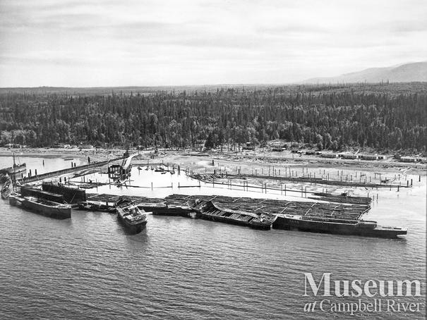 Booming grounds at Oyster Bay  