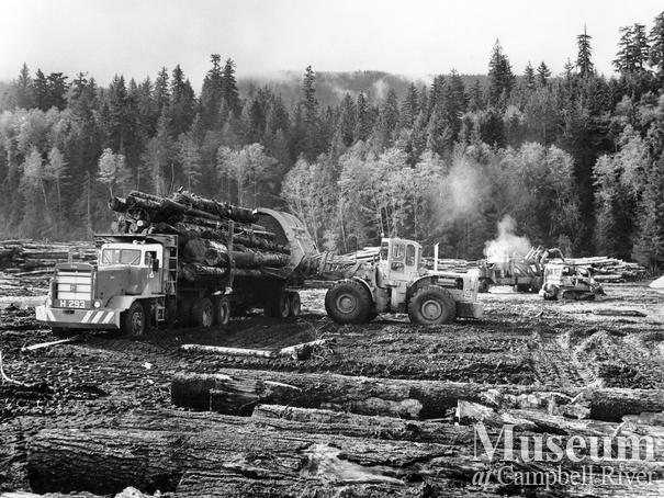Log sort at MacMillan Bloedel operations